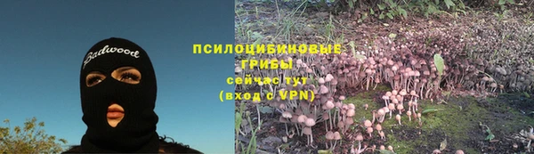 а пвп мука Алексеевка