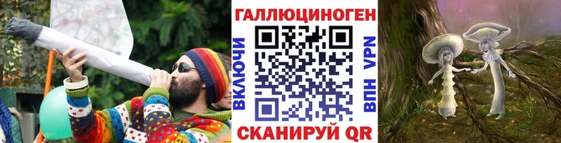 как найти закладки  Камень-на-Оби  Псилоцибиновые грибы Psilocybe 