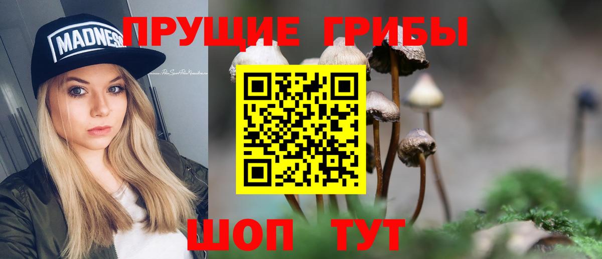 Псилоцибиновые грибы мицелий  Вход с VPN  Камень-на-Оби 